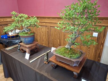 090526_Agrofest_9.jpg