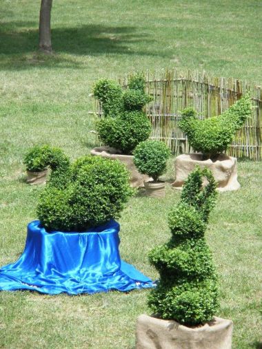 Otvori galeriju topiary5.jpg