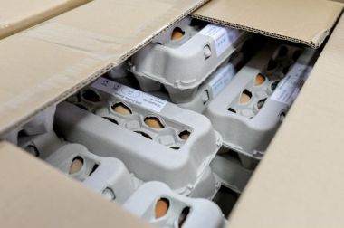 Otvori galeriju 171220_centar_za_socijalnu_4.jpg