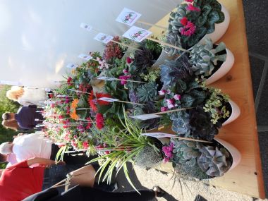 Otvori galeriju zadruga-otvorenje 17.JPG