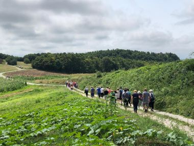 Dan djedova i baka 10.jpg