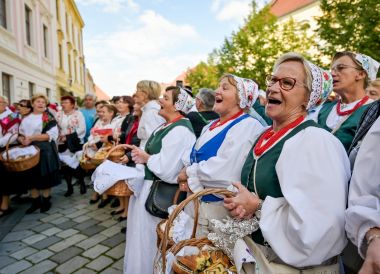 mimohod_dan_starijih_osoba 3.jpg