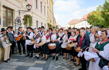 mimohod_dan_starijih_osoba 9.jpg