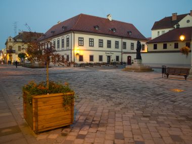 PA2274106.jpg