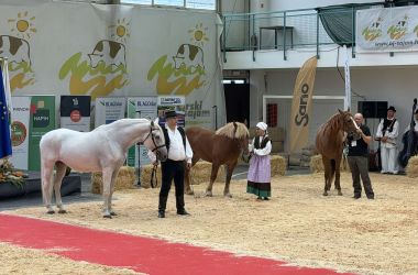 viber_slika_2026-09-11_20-49-04-235.jpg