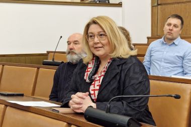 sabor okrugli stol 7.jpg