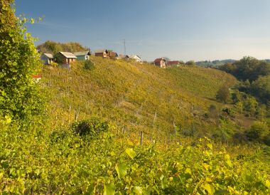 PA1269553.jpg