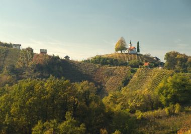 PA1269686.jpg