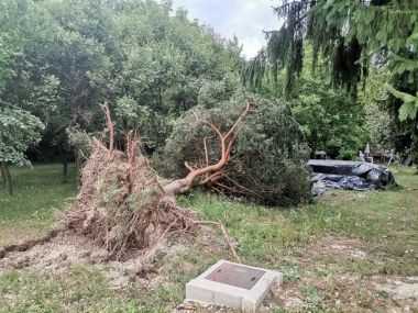 Otvori galeriju 010821_hrzenica_12jpg.jpg