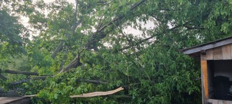 Otvori galeriju 010821_hrzenica_8.jpg