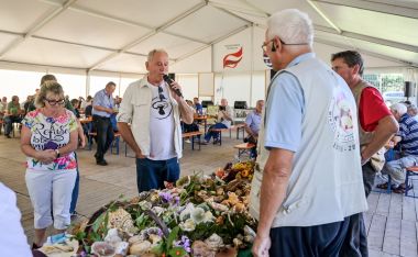 Otvori galeriju Dani_vrganja_Paka 46.jpg