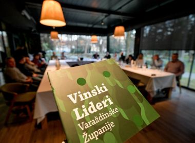 Otvori galeriju Vinski_lideri_radionica 15.JPG