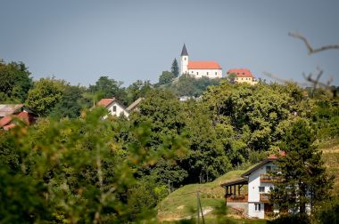 Zupanijska_berba 11.JPG
