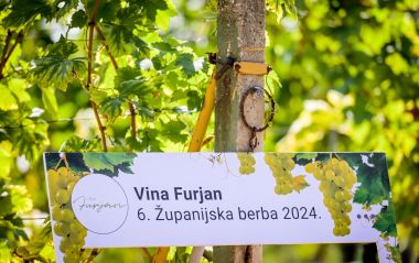 Zupanijska_berba 16.JPG