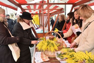 dan mimoza_02.jpg