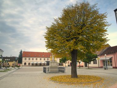 PA08679215.jpg