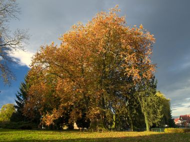 PA2979992.jpg