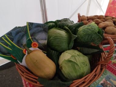 agrofest_23.jpg