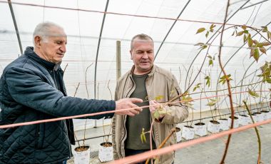 OPG_Vinko_Selnik 17.JPG