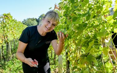 zupanijska_berba_vinogradi_ludbreski_2023 2.jpg