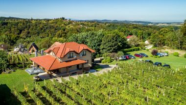 zupanijska_berba_vinogradi_ludbreski_2023 5.jpg