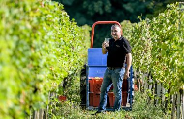 zupanijska_berba_vinogradi_ludbreski_2023 6.jpg
