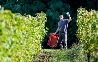 zupanijska_berba_vinogradi_ludbreski_2023 9.jpg