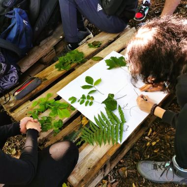 naj_skolski_vrtovi_nagrada_prva_privatna_gimnazija_vz_2026 5.jpg