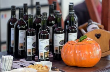 Izlozba_bucinih_ulja 11 .jpg