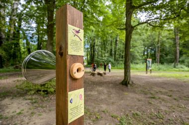 dravska_park_suma 10.jpg