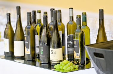 decanter_vina_vz_zupanija_2025 14.jpg