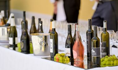 decanter_vina_vz_zupanija_2025 9.jpg