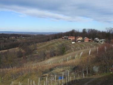 090222_obilazak meznaric_6.JPG