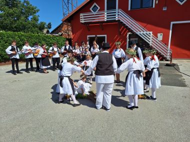 Festival Vidovekog gibanika 14.jpg