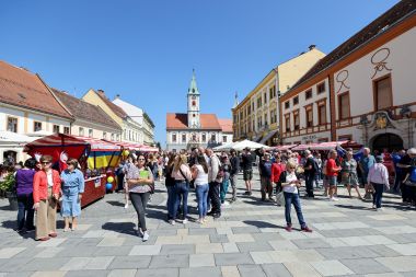 dan_kulturne_raznolikosti_dan_nacionalne_manjine_2024  14.jpg