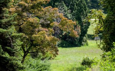 Arboretum_Opeka 21.jpg
