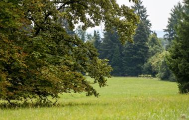 Arboretum_Opeka 36.jpg
