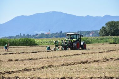 Otvori galeriju upanijsko natjecanje oraa 9.jpg