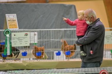 Izlozba peradi 2.jpg