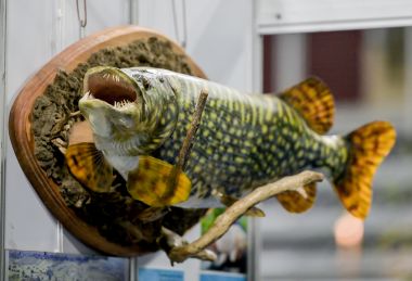 Otvori galeriju Sajam_lova_i_ribolova 53.jpg