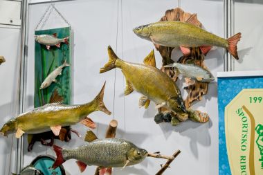 Otvori galeriju Sajam_lova_i_ribolova 54.jpg