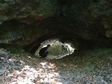 Otvori galeriju PILJE_JAME_Toplika pilja Varadinsko-topliko gorje.jpg