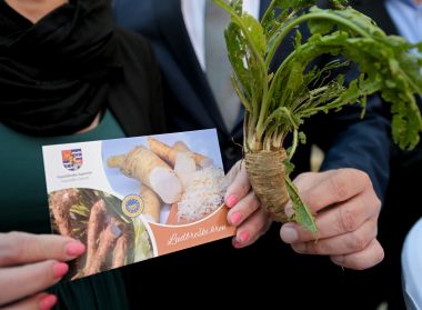 ludbreski_hren_postanska_marka 1.jpg