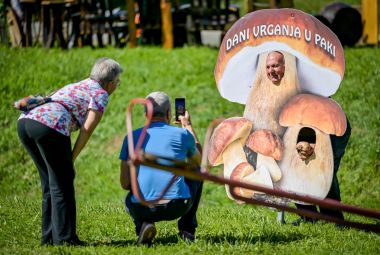 dani_vrganja_paka_2025 1.jpg