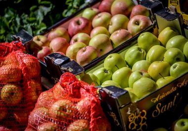 dani_vrganja_paka_2025 10.jpg