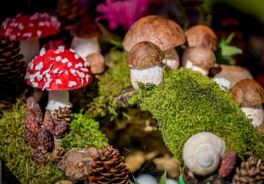 dani_vrganja_paka_2025 12.jpg