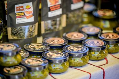 dani_vrganja_paka_2025 22.jpg