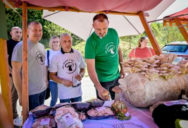 dani_vrganja_paka_2025 24.jpg