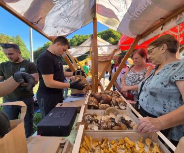 dani_vrganja_paka_2025 2_1.jpg