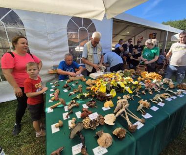 dani_vrganja_paka_2025 9_1.jpg